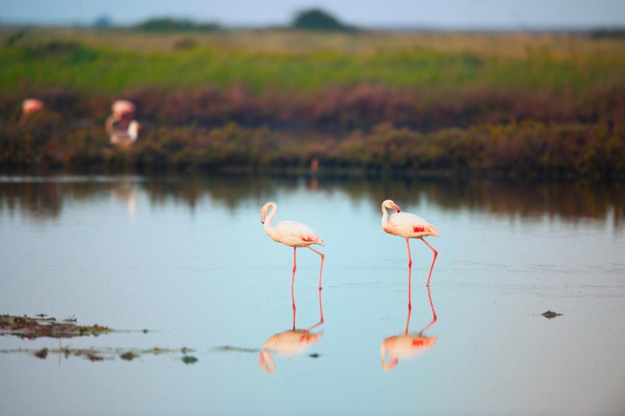 Fiordo Topazio Albarella Island Bagian luar foto